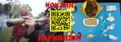 молекула духа Будённовск