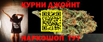 молекула духа Будённовск