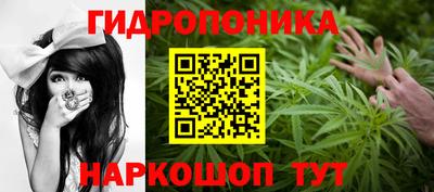 молекула духа Будённовск