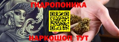 молекула духа Будённовск