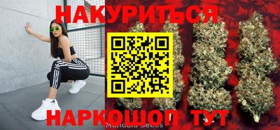 молекула духа Будённовск